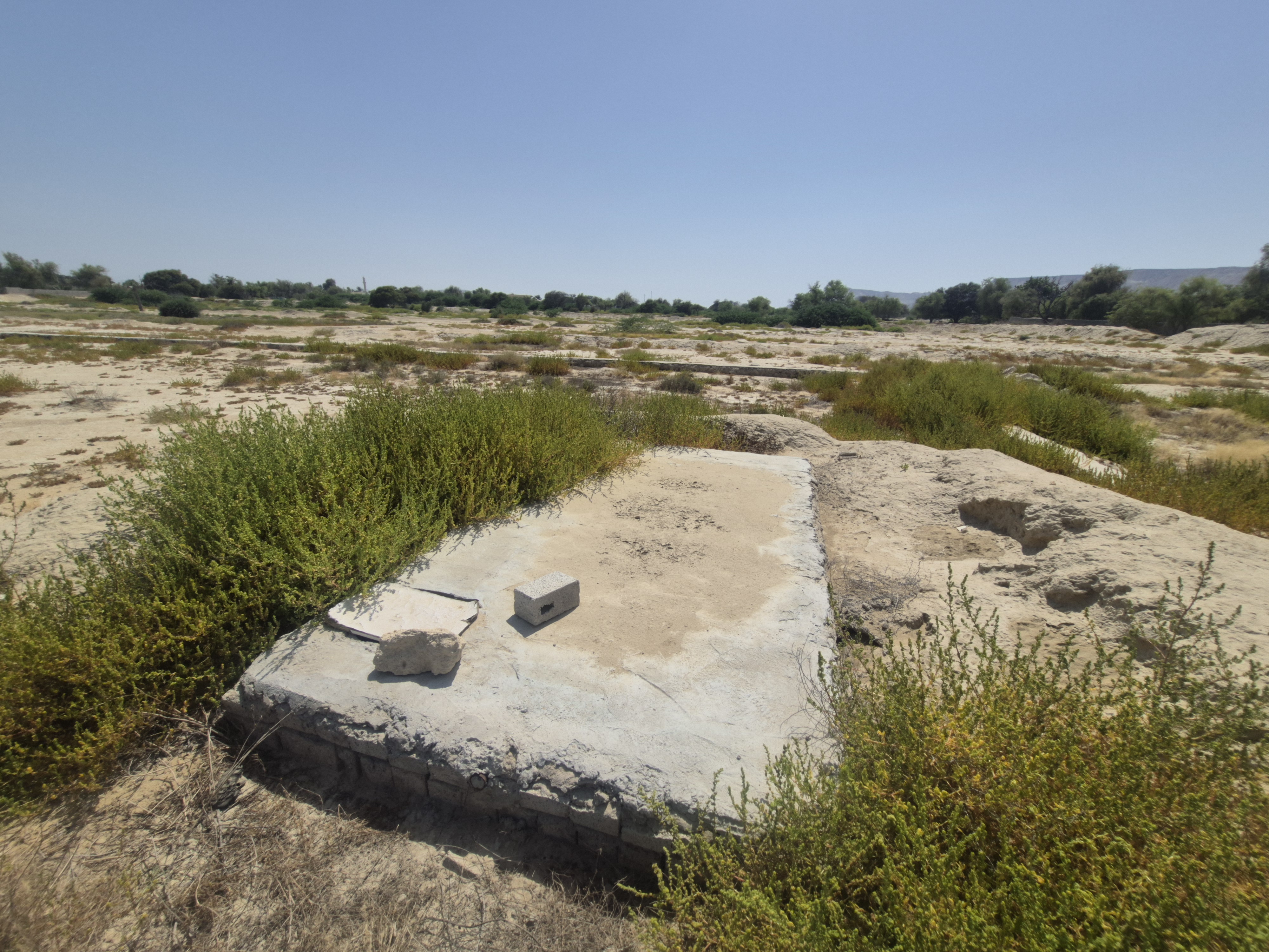زمین مسکونی