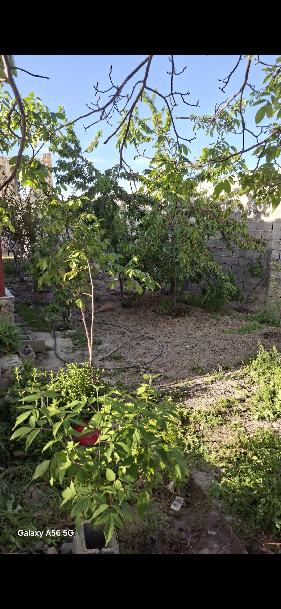 فروش منزل روستایی ۱۵۰ متری با تمام امکانات